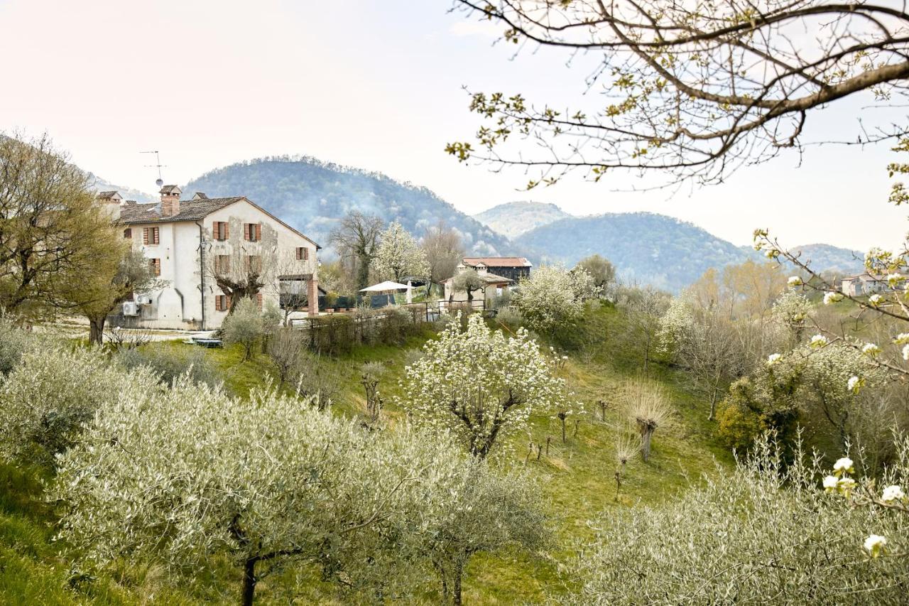Asolo Norah'S Hill Agri Rooms Monfumo ภายนอก รูปภาพ