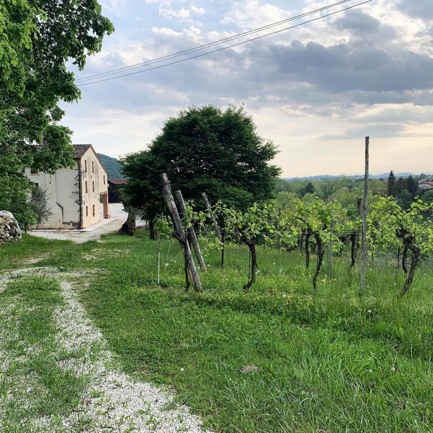 Asolo Norah'S Hill Agri Rooms Monfumo ภายนอก รูปภาพ