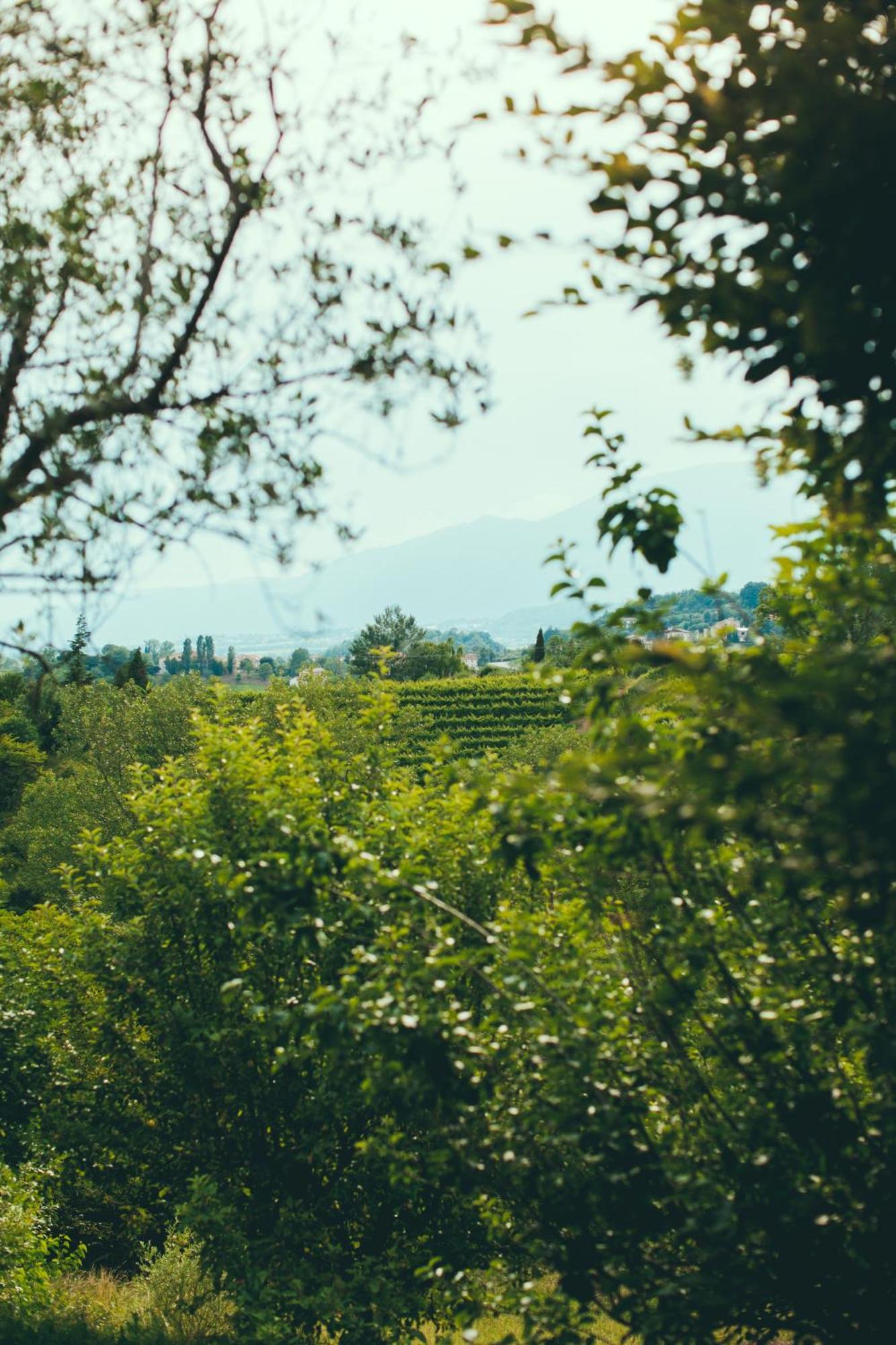 Asolo Norah'S Hill Agri Rooms Monfumo ภายนอก รูปภาพ