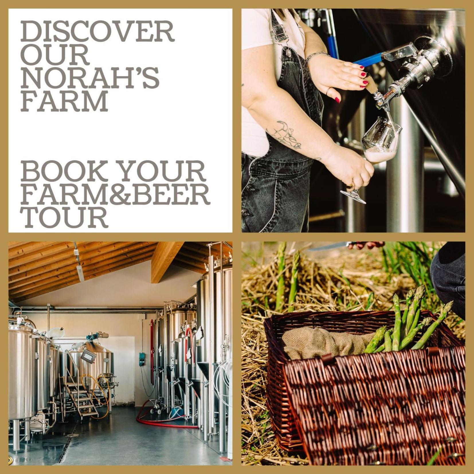 Asolo Norah'S Hill Agri Rooms Monfumo ภายนอก รูปภาพ